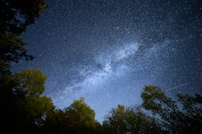 The Milky Way Galaxy Glowing Above The Silhouettes Of Dark Forest Trees. wallpaper preview