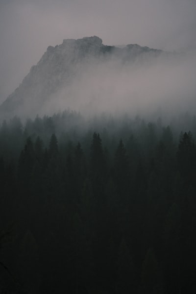 雾笼密林之巅岩峰