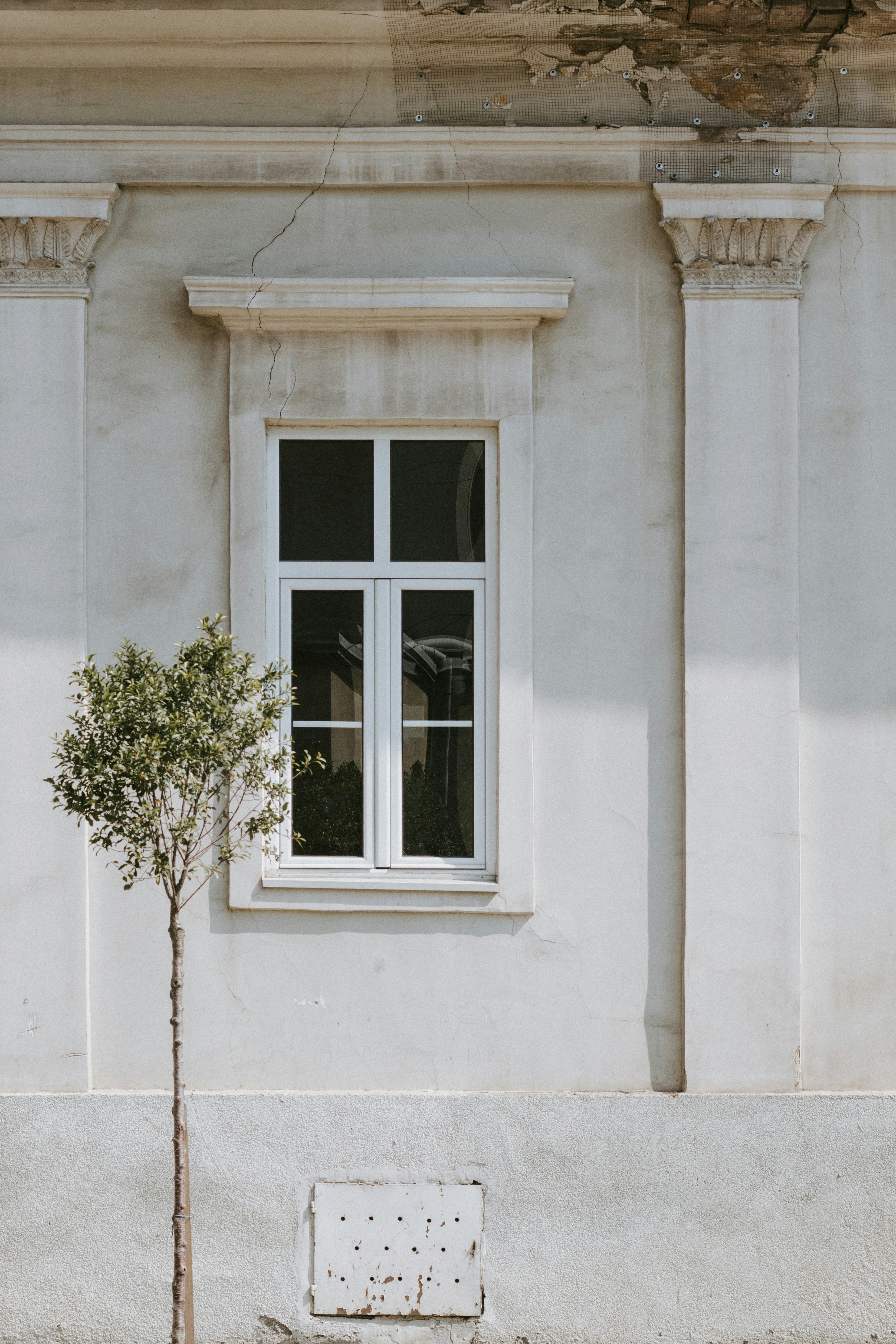 A Small Tree Beside A White Window On A Weathered Building Facade HD mobile wallpaper
