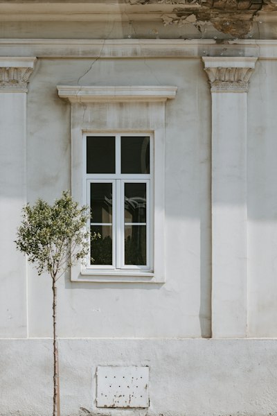 A Small Tree Beside A White Window On A Weathered Building Facade wallpaper preview