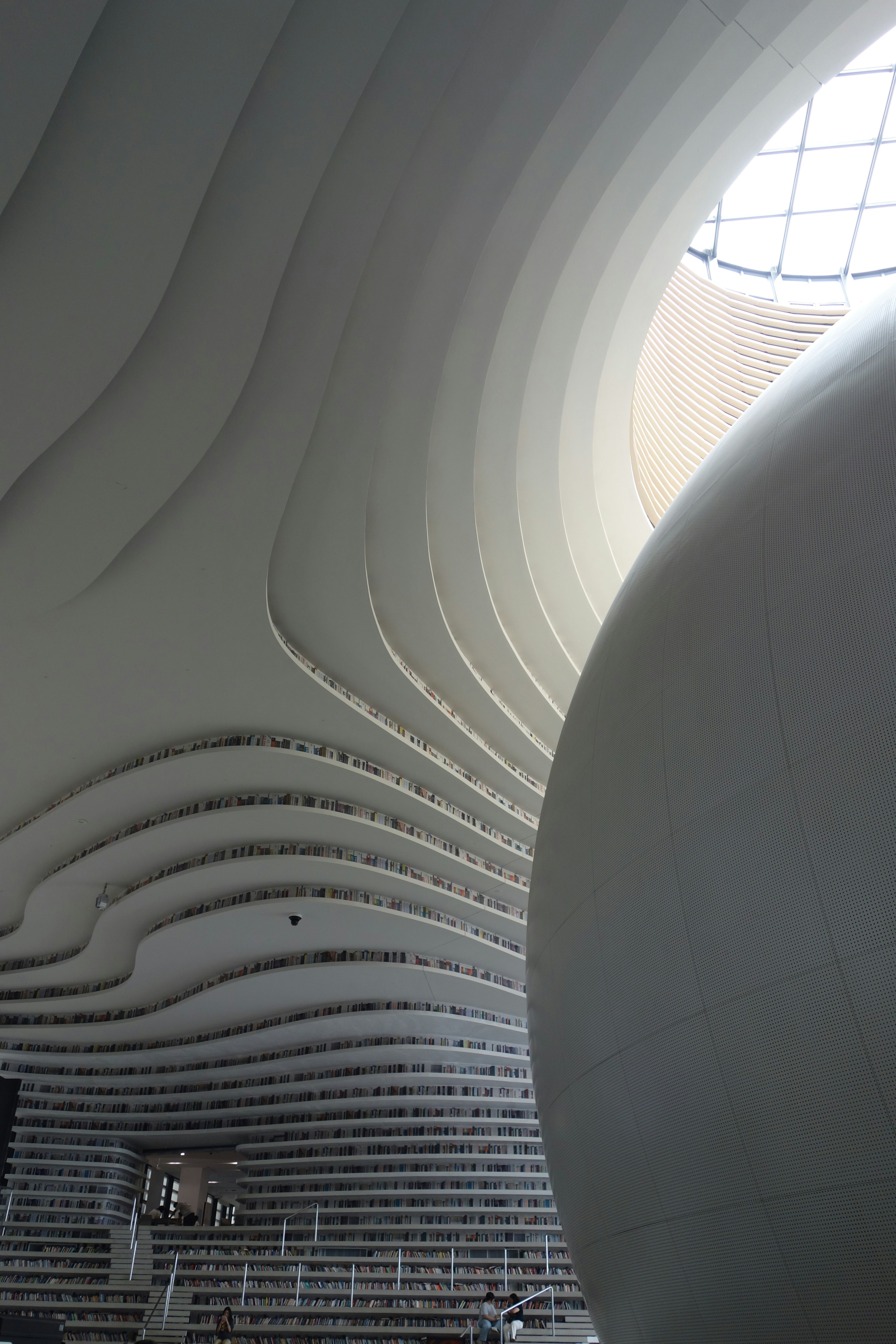 Curved White Architectural Shelves Filled With Books Beneath A Large Round Skylight HD mobile wallpaper