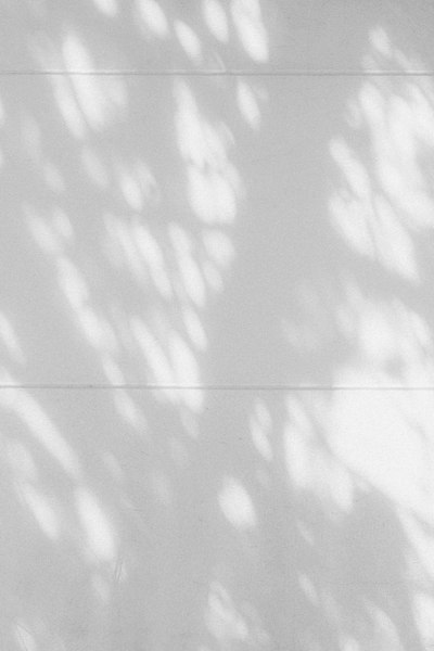 Soft Dappled Shadows Of Leaves Cast Onto A Plain White Wall wallpaper preview
