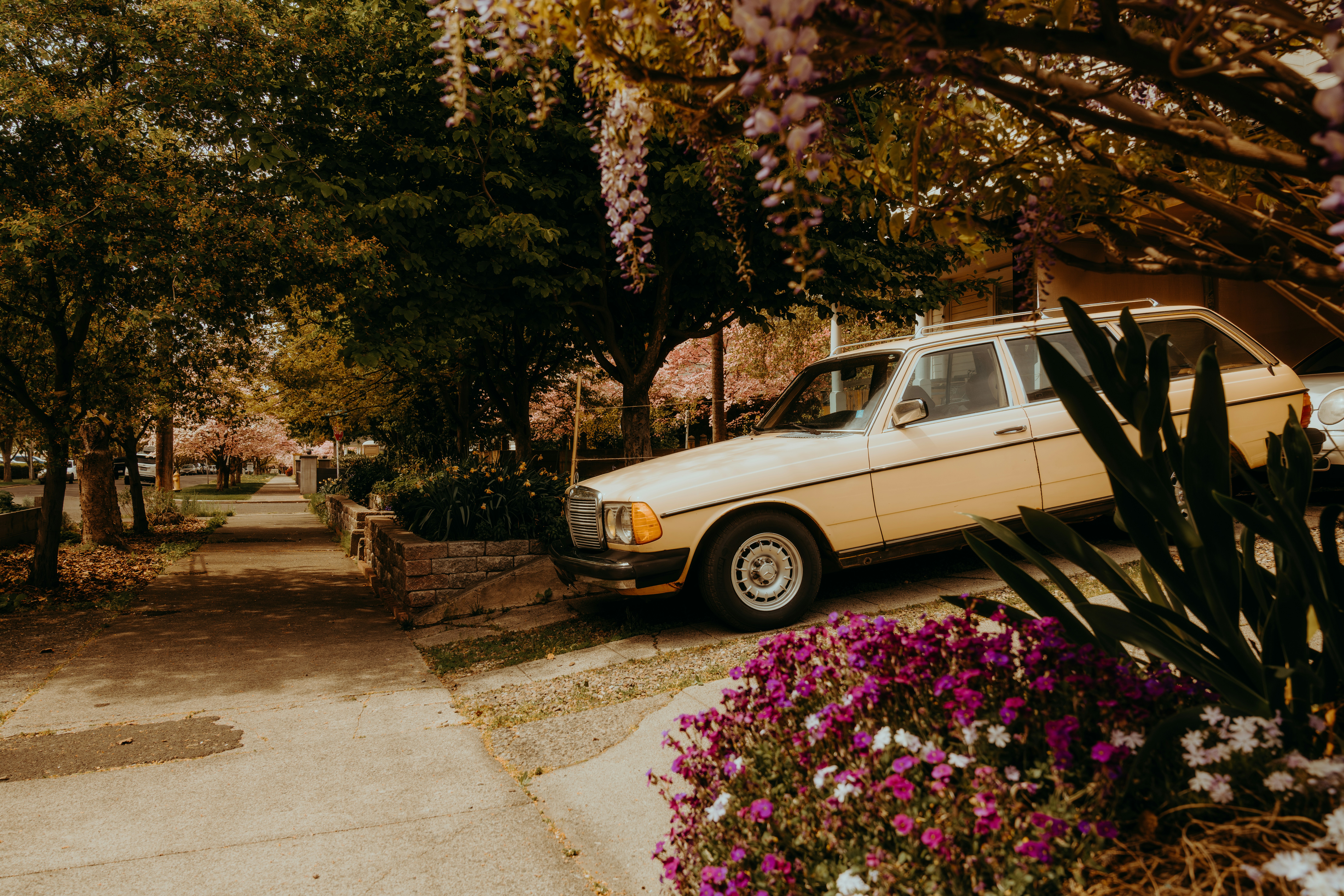 A Vintage Beige Station Wagon Parked On A Driveway Beside Purple Flowers HD mobile wallpaper