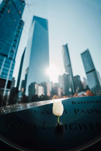 A White Rose In A Memorial Pool Engraving With Skyscrapers In New York City wallpaper preview