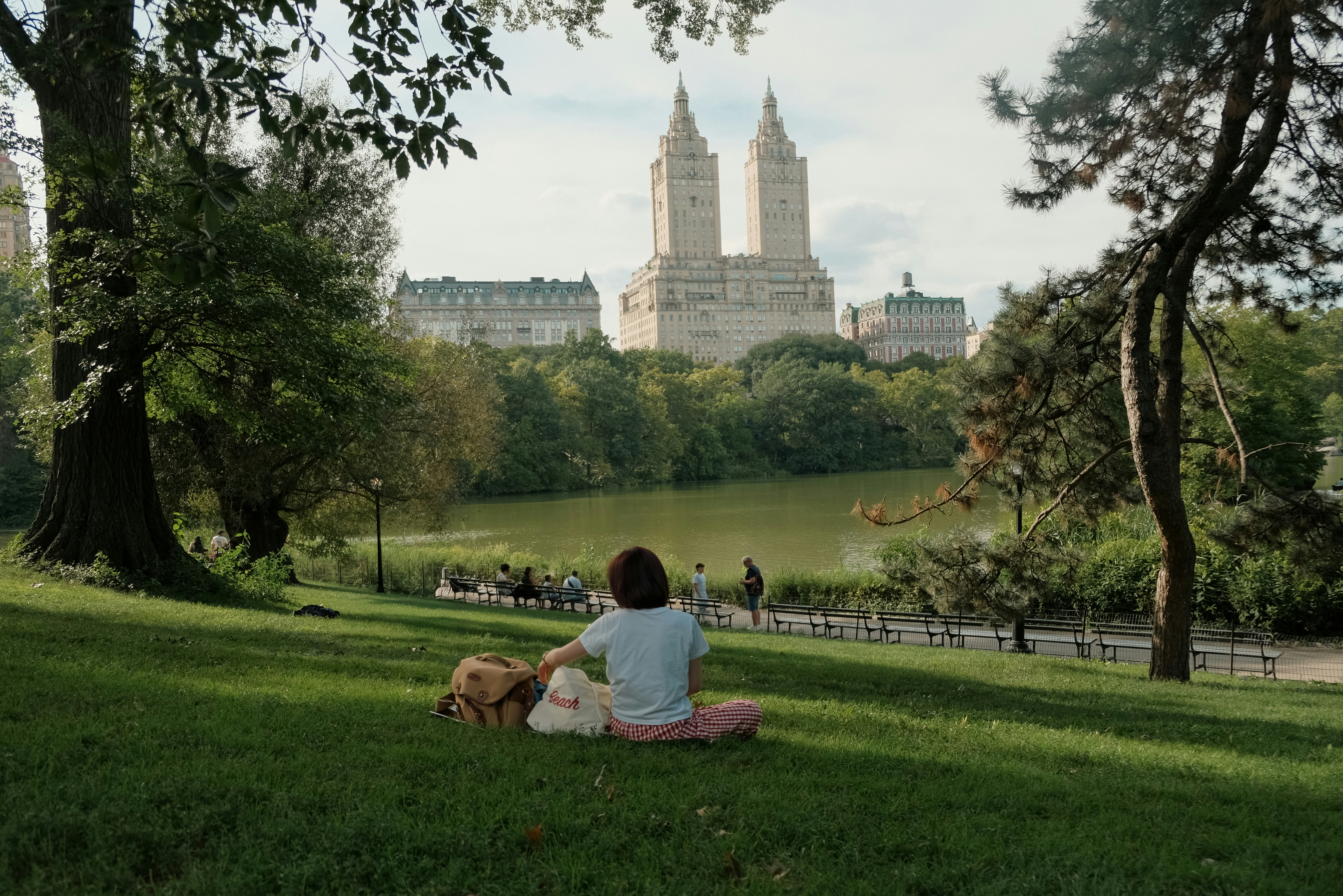 A Person Sitting On A Grassy Hill Overlooking The Lake In Central Park HD mobile wallpaper