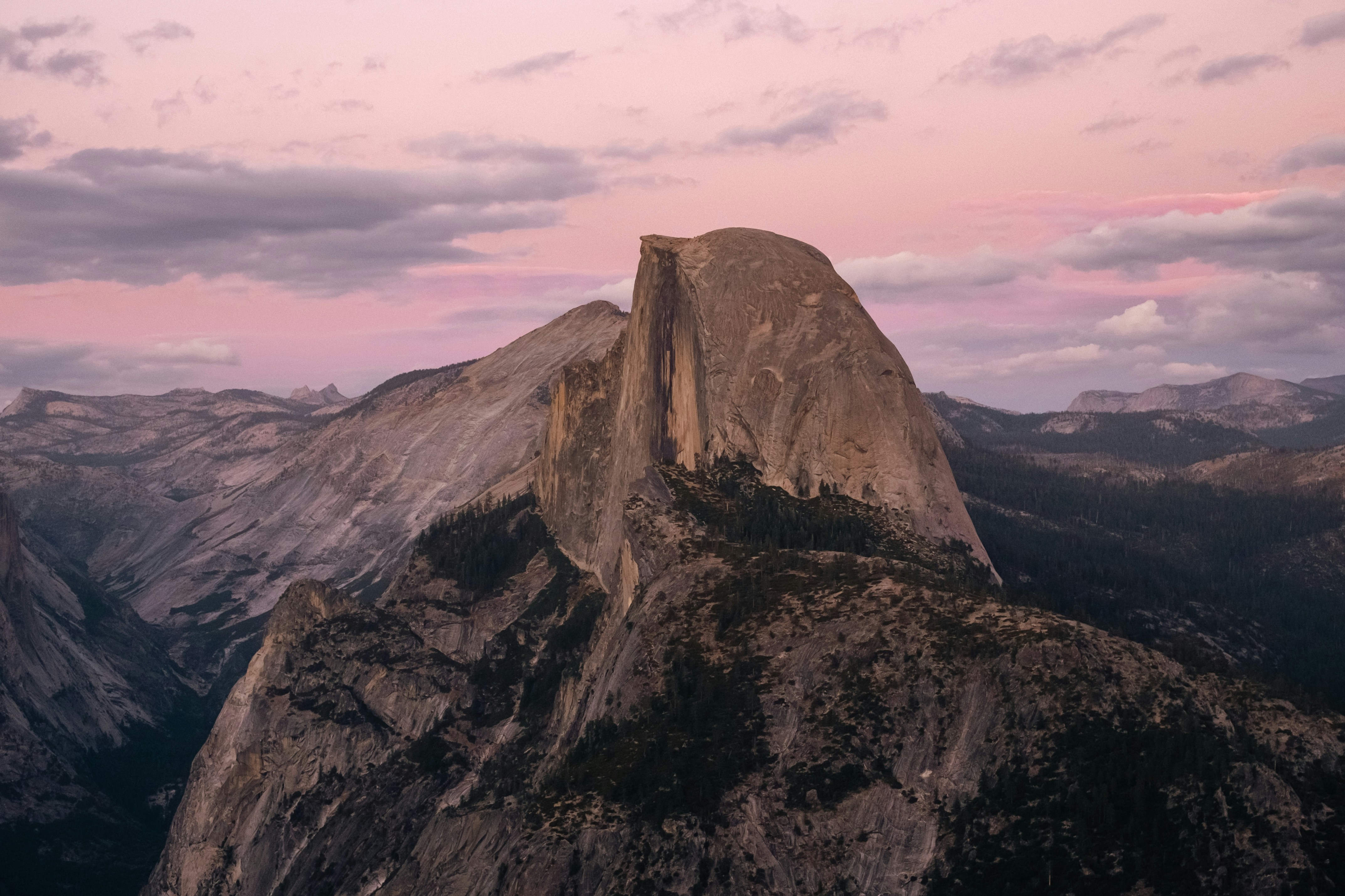 Half Dome Rising Above The Valley In Yosemite National Park Under A Soft Pink Sky HD mobile wallpaper