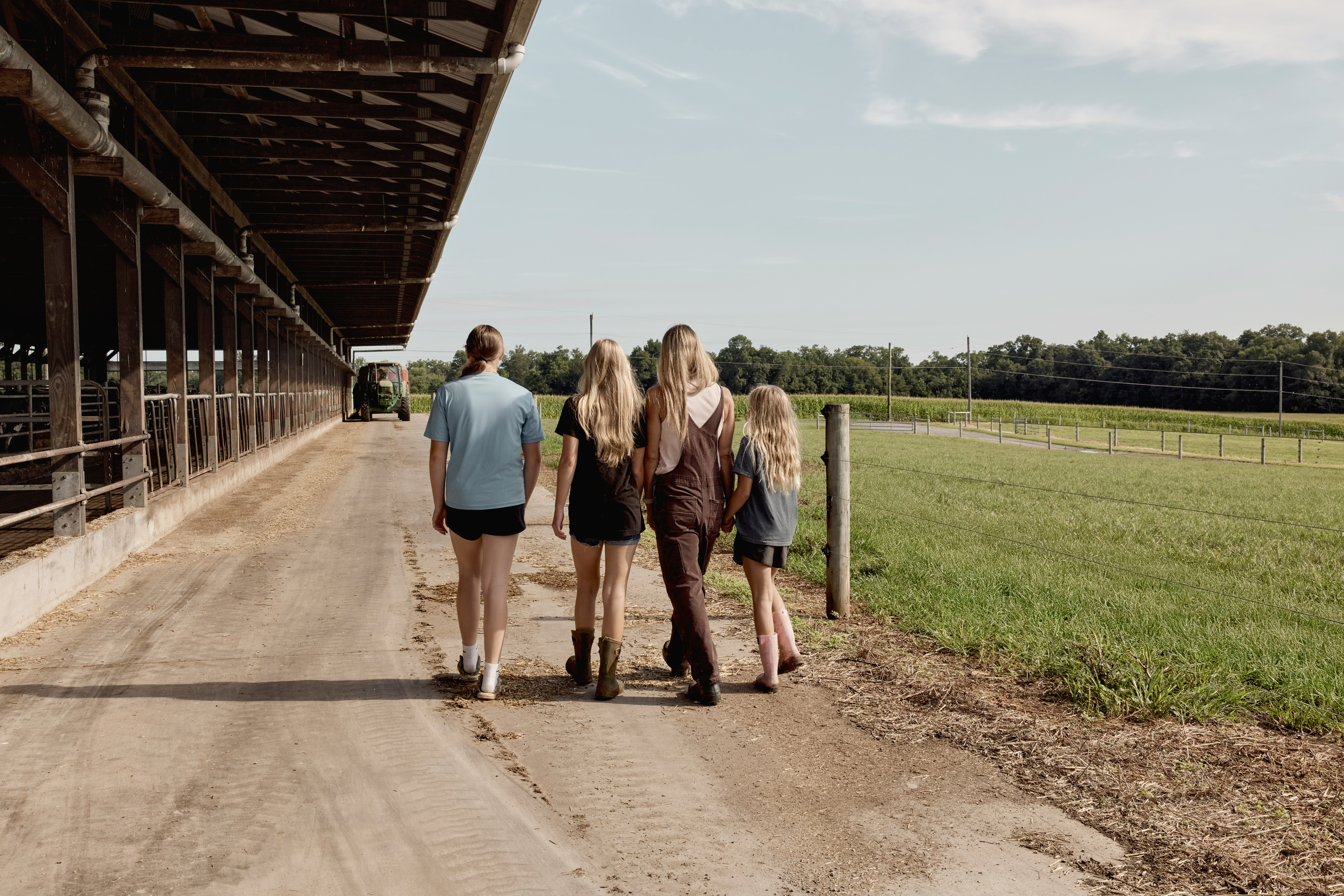 Group Walking Beside A Dairy Barn. Maryland, USA. HD mobile wallpaper