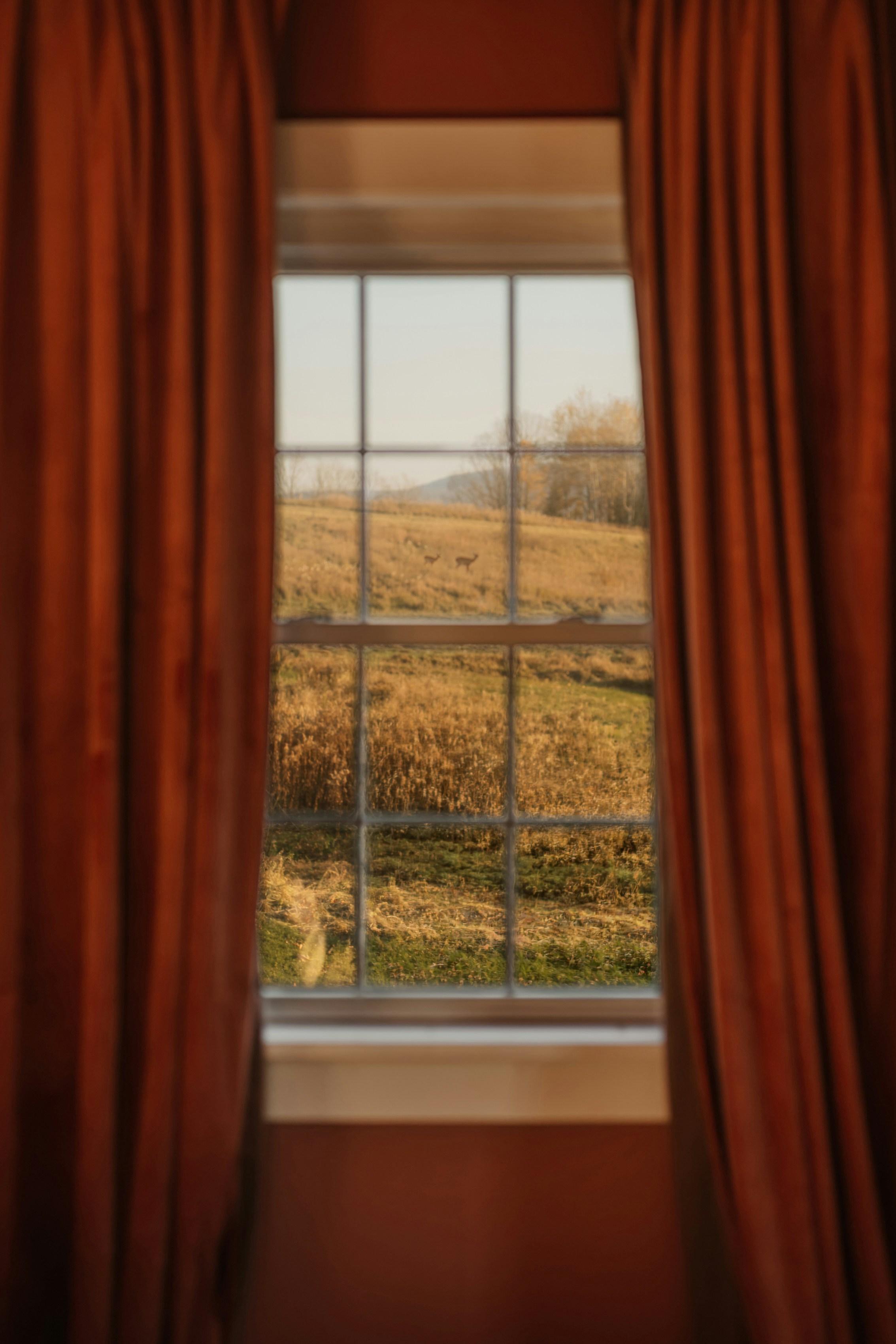 Room With A View (IG @clay.banks) HD mobile wallpaper