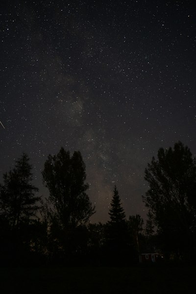 星河辉映夜幕松影
