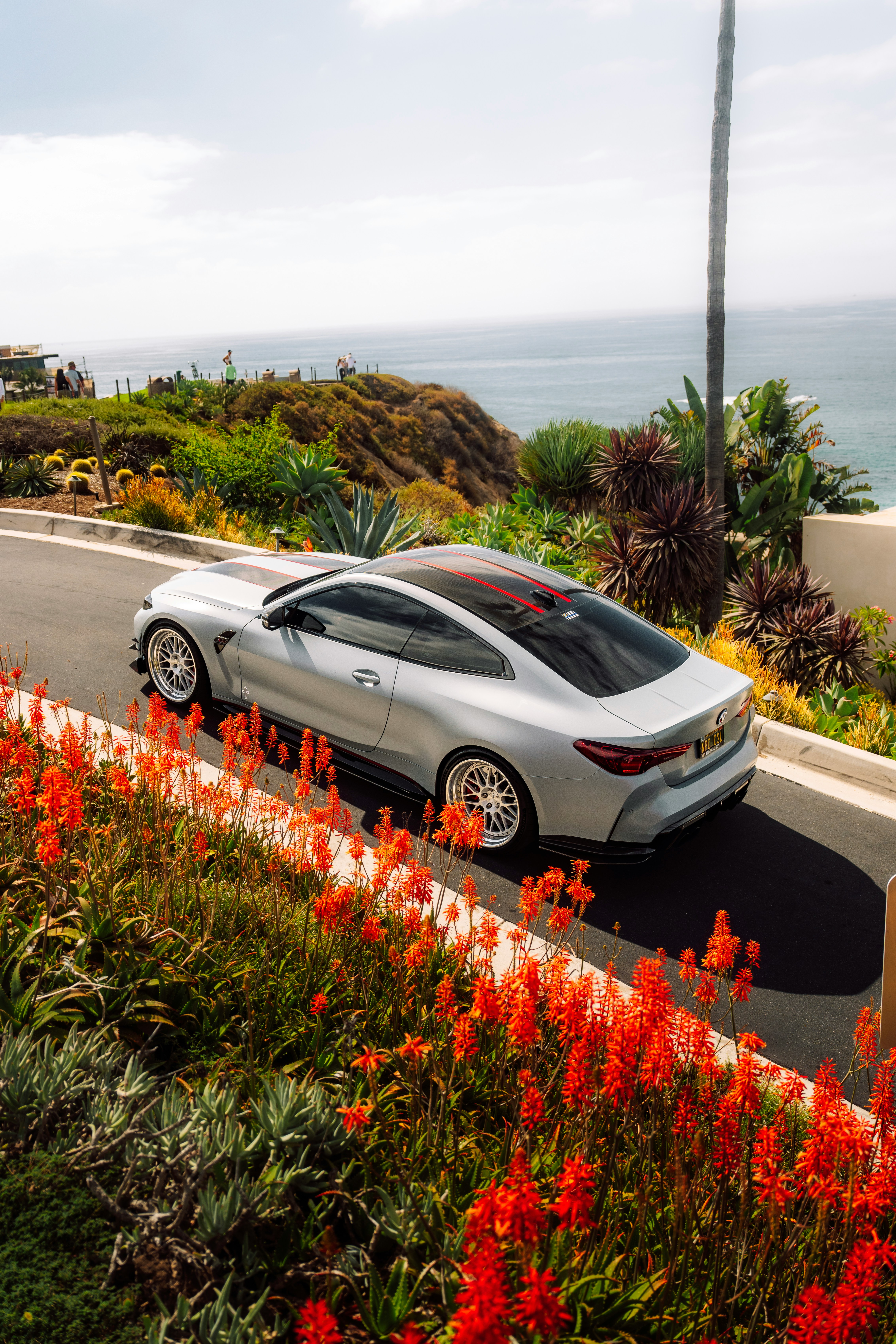 A Silver Sports Car Parked On A Coastal Road Lined With Bright Orange Aloe Flowers HD mobile wallpaper