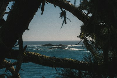 暗松枝框蓝海岩屿壁纸预览