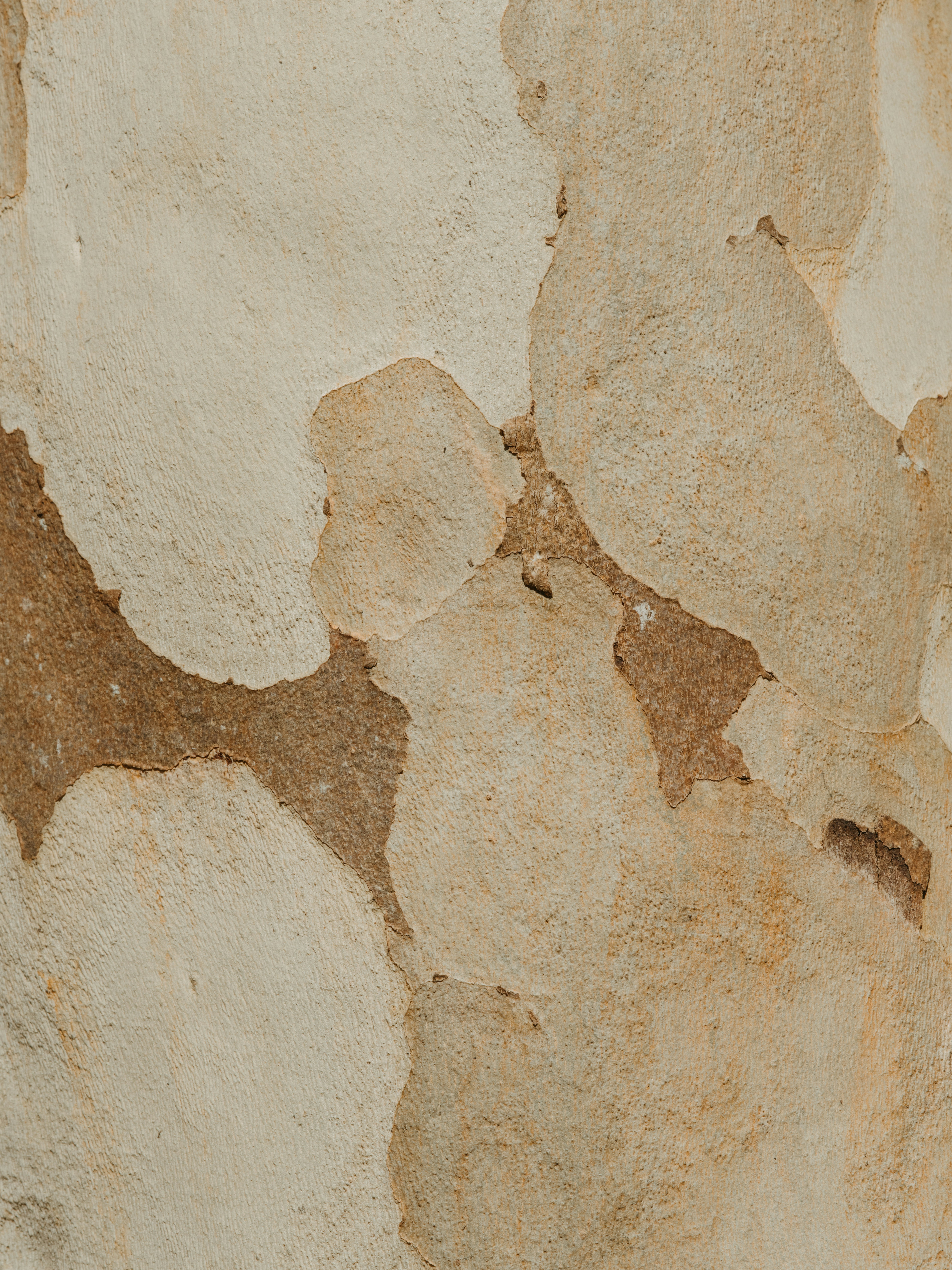 A Close Up Of A Rock Wall With Peeling Paint HD mobile wallpaper