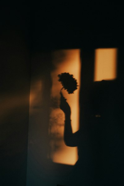 A Silhouette Of A Person Holding A Flower Against A Warm Orange Wall wallpaper preview