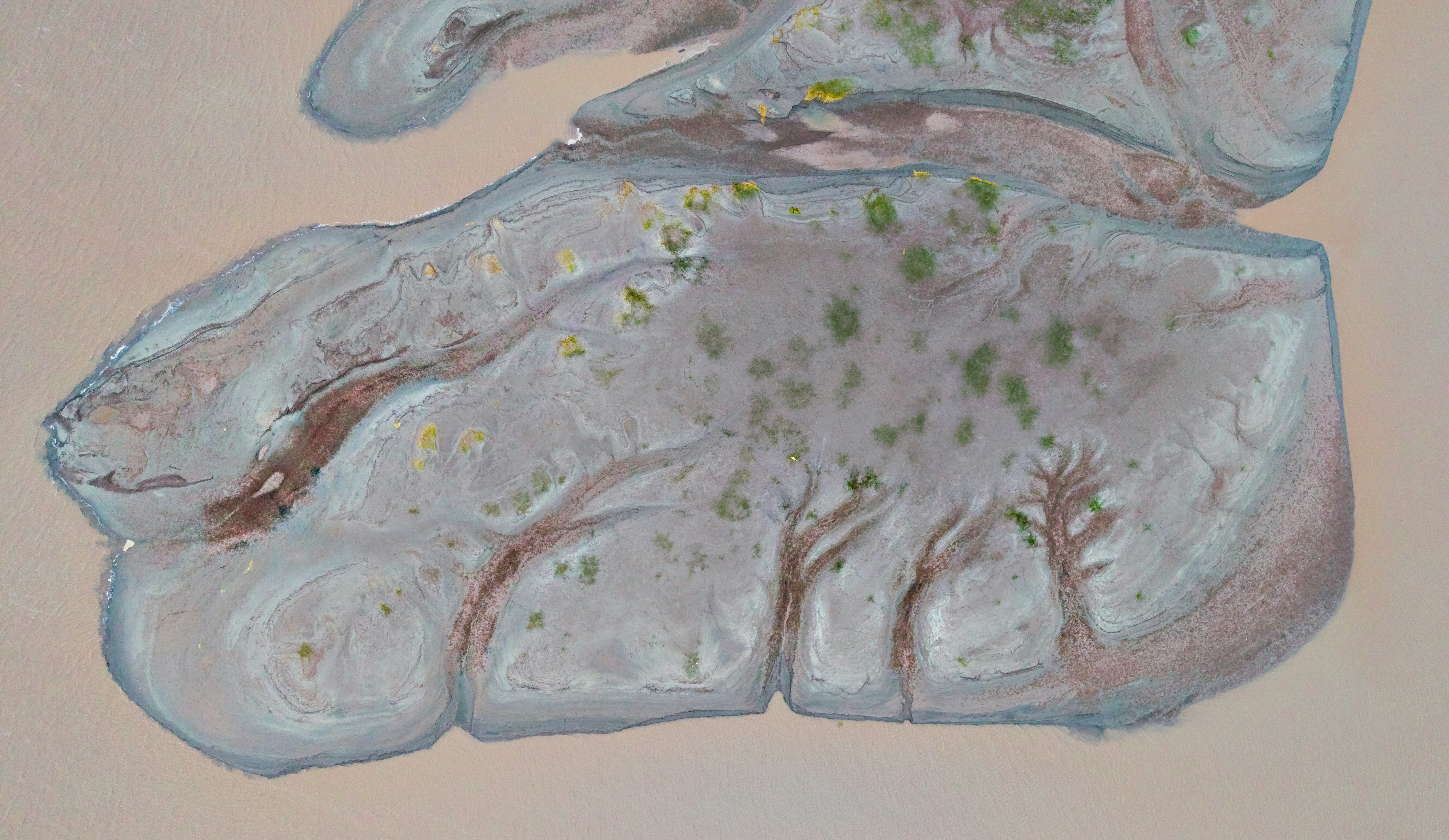 An Aerial View Of A Grey Mud Island With Branching Channels In Brown Water HD mobile wallpaper