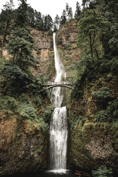 Tourists On A Waterfall Bridge wallpaper preview