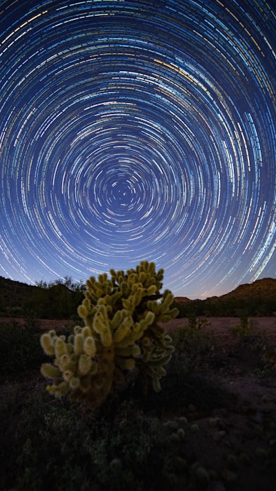 Starry Night In Arizona wallpaper preview