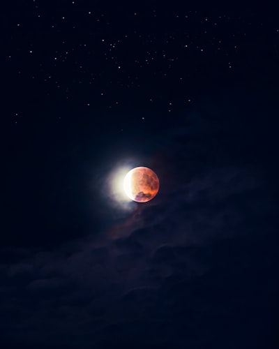 月夜之暗影壁纸预览