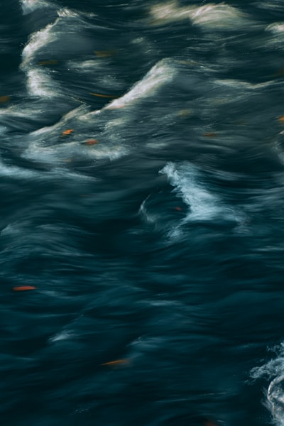 A Bird Flying Over A Body Of Water wallpaper preview
