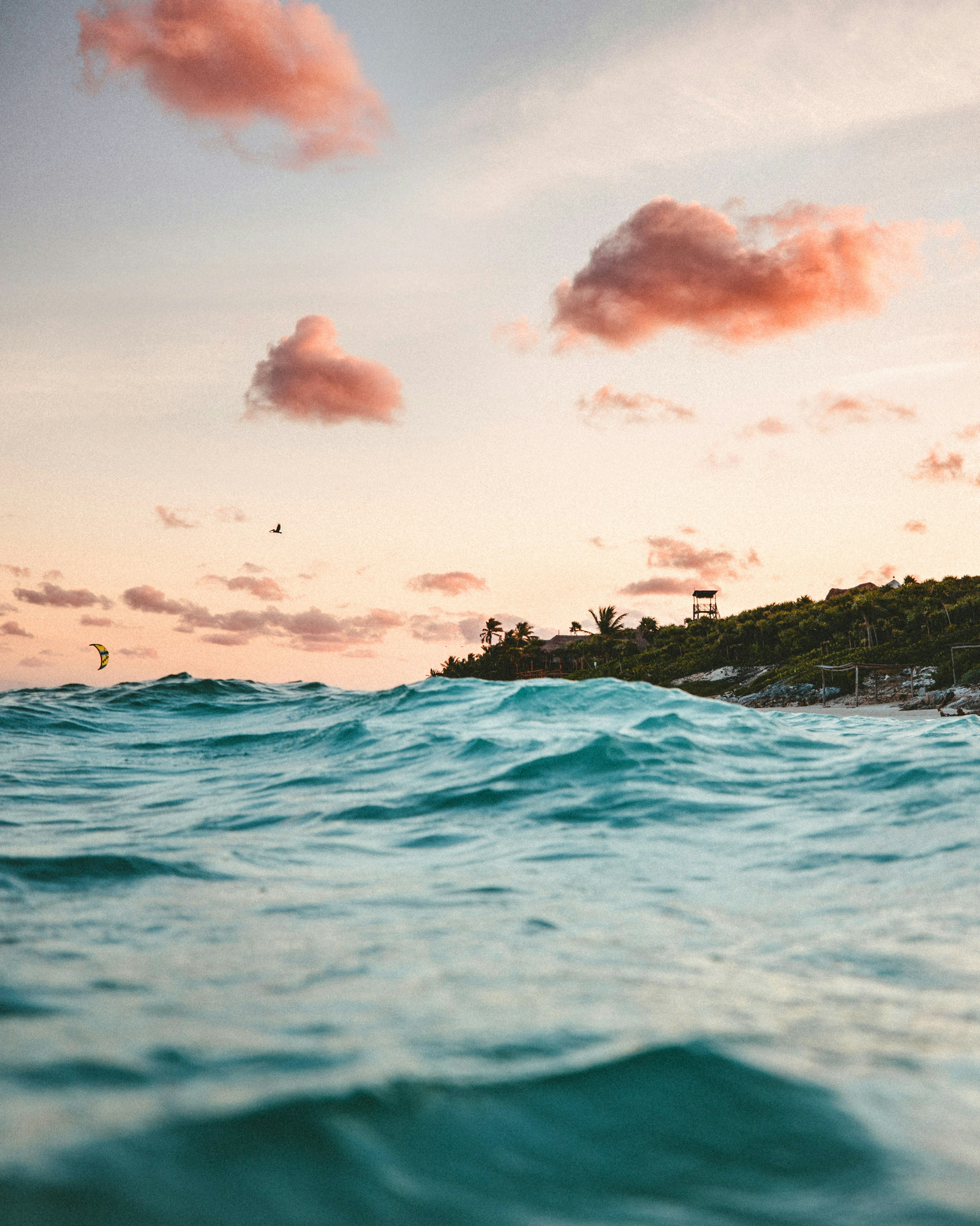 Swimming In Tulum, Mexico By Andy McCune (@andy) HD mobile wallpaper